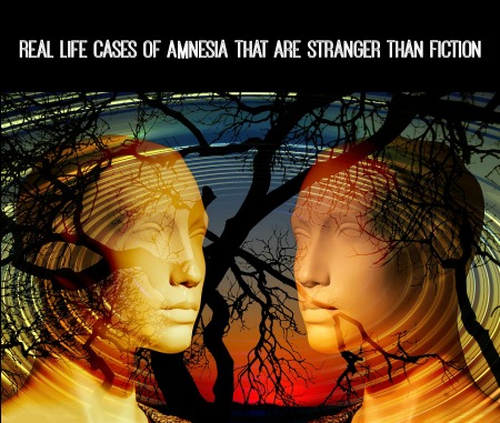 Amnesia: Life in Illusion adult game cover art